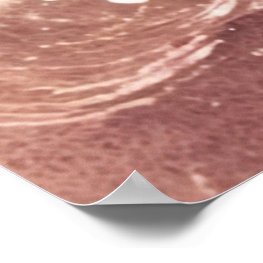 *~* AP60 Zee Sparkle Beach Coastal Ocean Wave Sand Poster (Hoek)