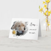 *~* AP61 Bloemziek Word Gauw Beter Gouden Hond Kaart (Gele Bloem)