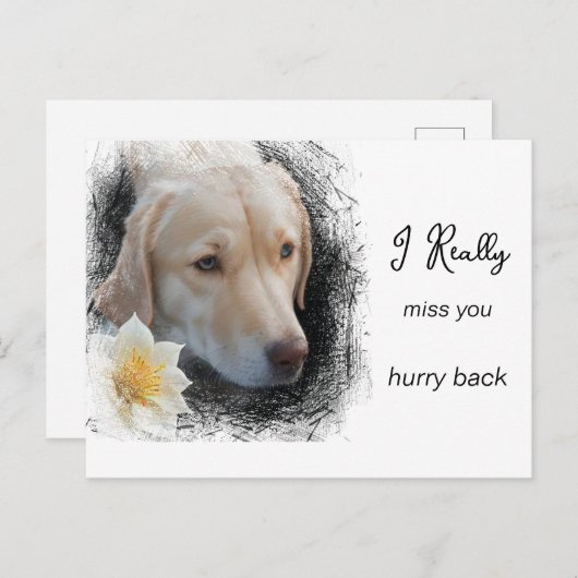 *~ AP61 Droevige Hond Met Kort Haar Bloem Mis Je Briefkaart (Voorkant / Achterkant)