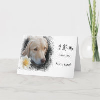 *~ AP61 Flower Mist Jou - Verdrietige Hond