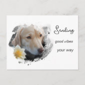 *~* AP61 Good Vibes Lab Retriever Bloem Briefkaart (Voorkant)