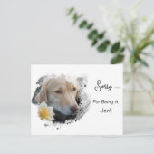 *~* AP61 Sad Lab Retriever Bloem Sorry Jerk Briefkaart (Staand voorkant)