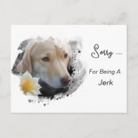 *~* AP61 Treurige Lab Retriever Bloem Sorry Lul