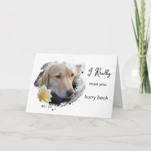 *~ AP61 Verdrietige Lab Retriever Bloem Mis Je Haa Kaart