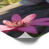 *~* AP68 2:3 Kat katje kitten Kat Tropisch Poster (Hoek)