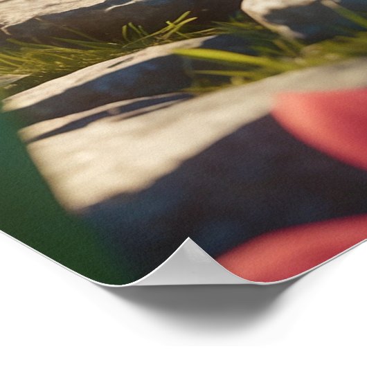 *~* AP68 2:3 Kitten Organge Tabby Schattige Zoet Poster (Hoek)