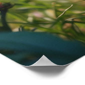 *~* AP68 5:4 Feline Kat Kitten Fluffy Natuur Poster (Hoek)