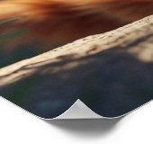 *~* AP68 5:4 Fluffy ORANJE katachtige Kat Kitten Poster (Hoek)