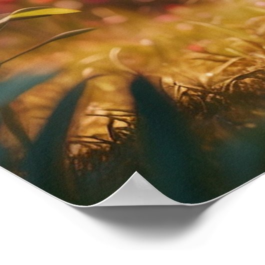 *~* AP68 Kitty Kat 5:4 Kitten Wit Lang Haar Poster (Hoek)