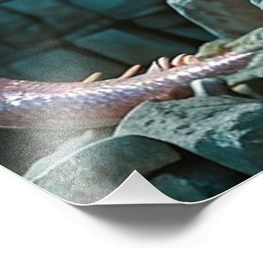 *~* AP88 Castle Fantasy Dragon Wall artwork 21 Foto Afdruk (Hoek)