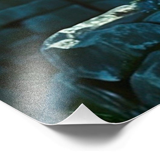 *~* AP88 Fantasy Shimmering Dragon Wall Art 15 Foto Afdruk (Hoek)