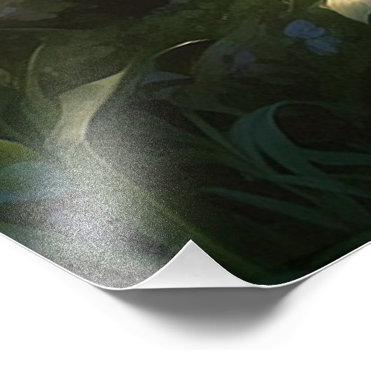 *~* AP88 Glitterende Fantasy Dragon Wall Artwork 9 Foto Afdruk (Hoek)