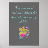 AP Biology Big Idee 1 Poster (Voorkant)