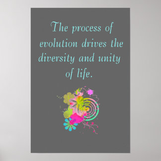 AP Biology Big Idee 1 Poster