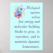 AP Biology Big Idee 2 Poster (Voorkant)