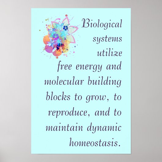 AP Biology Big Idee 2 Poster (Voorkant)