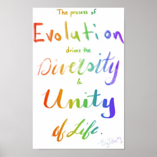 AP Biology Big Idee One Poster