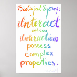 AP Biology Big Idee Vier Poster