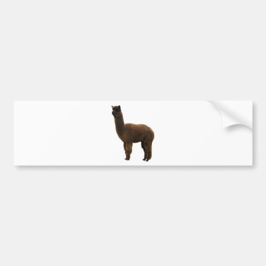 Apaca stud bumpersticker (Voorkant)