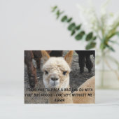 Apaca-tas Briefkaart (Staand voorkant)