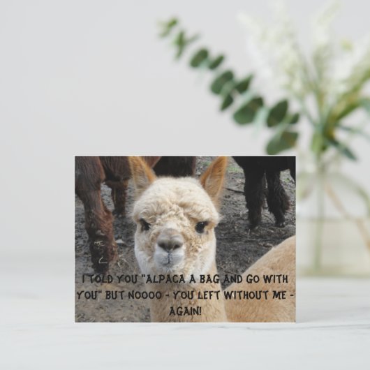 Apaca-tas Briefkaart (Staand voorkant)