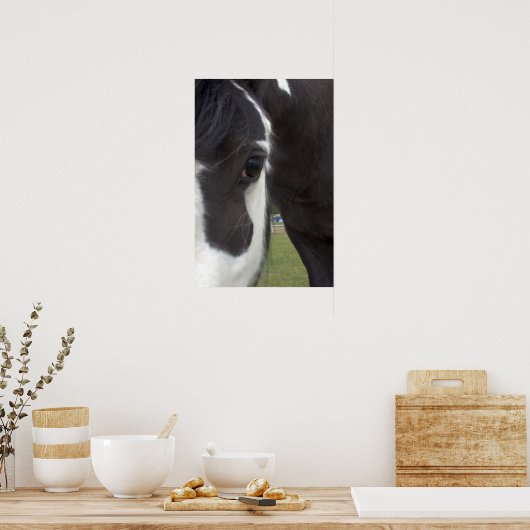 Apache Gypsy Vanner Cob Poster (Keuken)