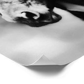 Apache paarden poster (Hoek)