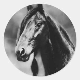 Apache paarden ronde sticker