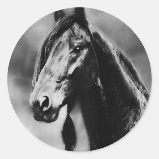 Apache paarden ronde sticker (Voorkant)