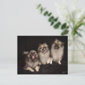 Apache Tells a Joke Briefkaart (Staand voorkant)