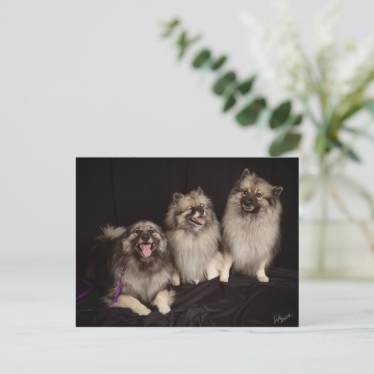 Apache Tells a Joke Briefkaart (Staand voorkant)