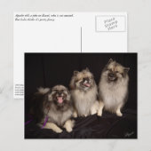 Apache Tells a Joke Briefkaart (Voorkant / Achterkant)