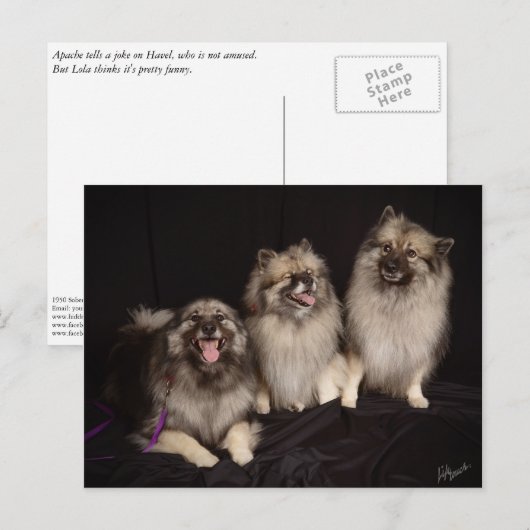 Apache Tells a Joke Briefkaart (Voorkant / Achterkant)