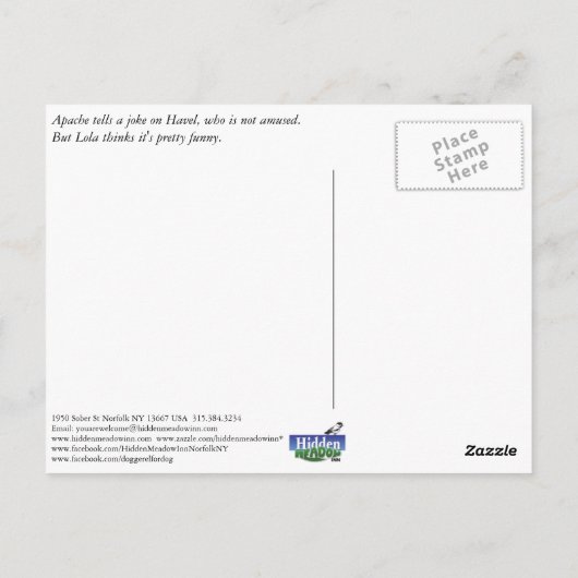Apache Tells a Joke Briefkaart (Achterkant)
