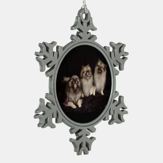 Apache vertelt een Joke Pewter Snowflake Ornament (Links)