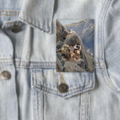 Apache Warriors: hinderlaag voor Amerikaanse caval Button (Insitu)