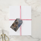Apache Warriors: hinderlaag voor Amerikaanse caval Cadeaulabel (Met Touw)