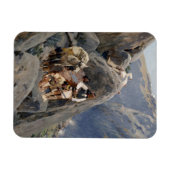 Apache Warriors: hinderlaag voor Amerikaanse caval Magneet (Horizontaal)