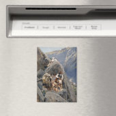 Apache Warriors: hinderlaag voor Amerikaanse caval Magneet (Insitu (Vaatwasser))