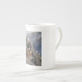 Apache Warriors: hinderlaag voor Amerikaanse caval Porselein Kop (Voorkant rechts)