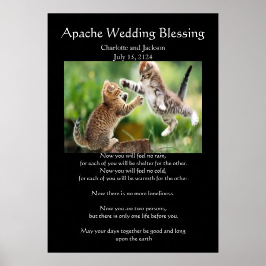 Apache Wedding Blessing Persian Cats Fighting Poster (Voorkant)