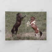 Apache's Portret Wild Horse Wenskaart Kaart (Binnen)