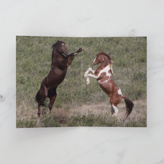 Apache's Portret Wild Horse Wenskaart Kaart (Binnen)