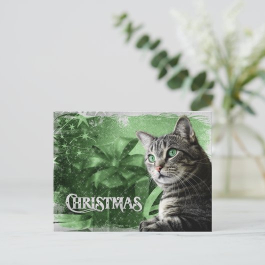 APAL - Kat van de Gestreepte kat van Kerstmis de Feestdagenkaart (Staand voorkant)