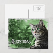 APAL - Kat van de Gestreepte kat van Kerstmis de Feestdagenkaart (Voorkant / Achterkant)