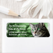 APAL - Silver Tabby Cat met seizoensgebonden groen Etiket (Insitu)