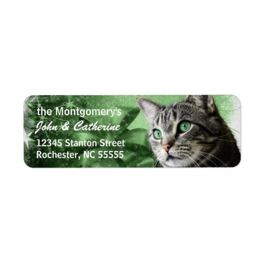 APAL - Silver Tabby Cat met seizoensgebonden groen Etiket (Voorkant)