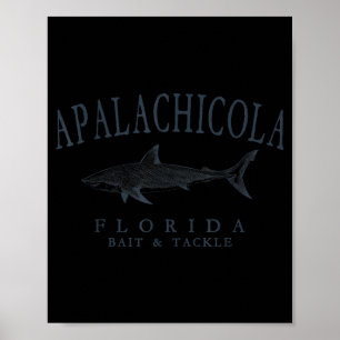 Apalachicola florida haai retro leisteen kunst vis poster