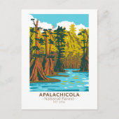 Apalachicola National Forest Baldcypress Tree Briefkaart (Voorkant)