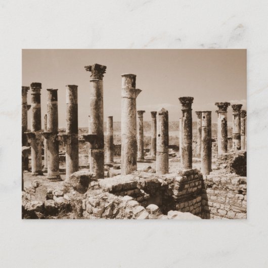 Apamea Briefkaart (Voorkant)